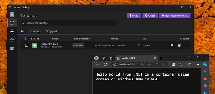 Developing & Working with .NET Containers on Windows ARM Devices